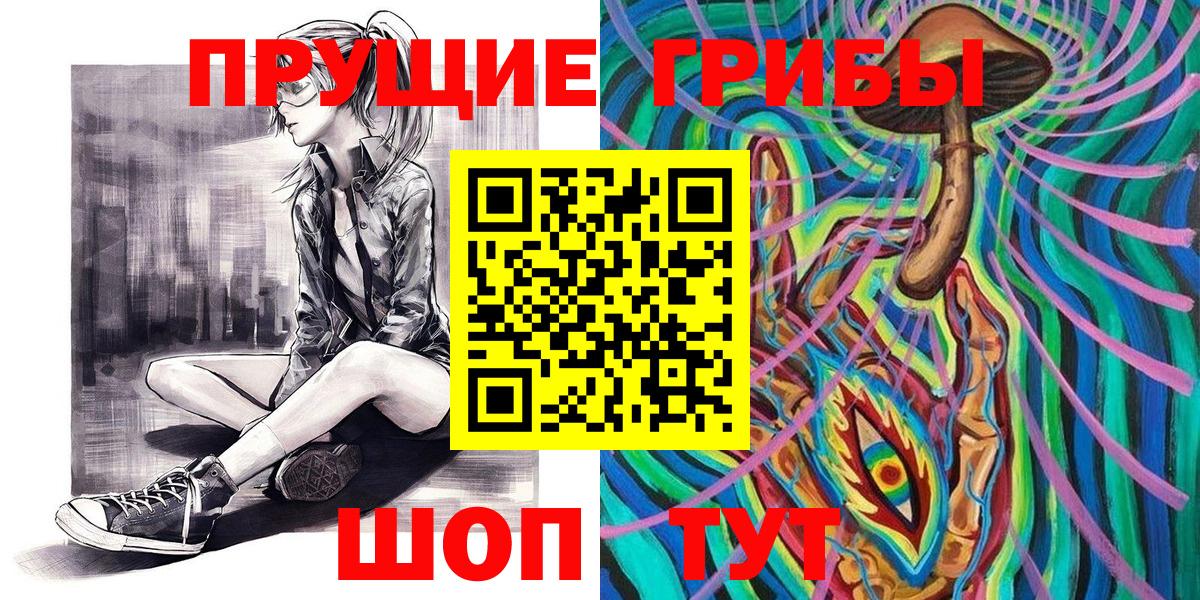 Псилоцибиновые грибы мицелий Саратов