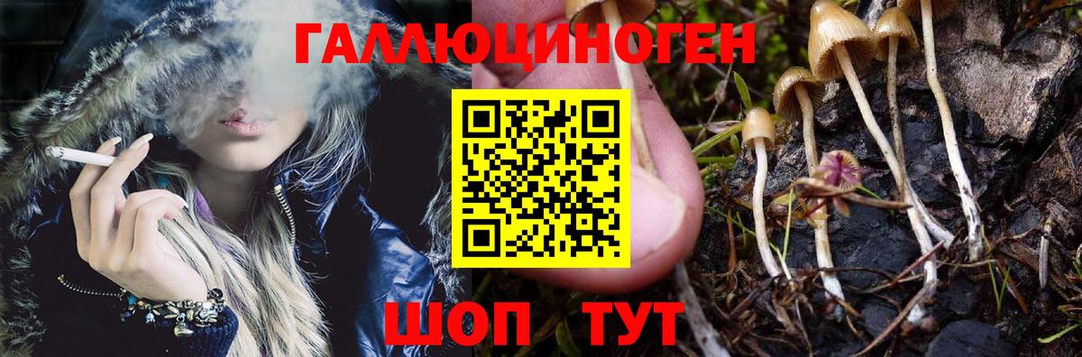 Саратов  Галлюциногенные грибы мухоморы  Вход с VPN 